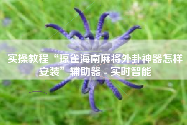 实操教程“琼雀海南麻将外卦神器怎样安装	”辅助器 - 实时智能