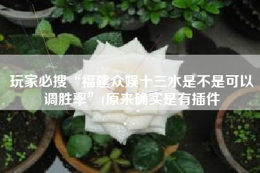 玩家必搜“福建众娱十三水是不是可以调胜率	”(原来确实是有插件