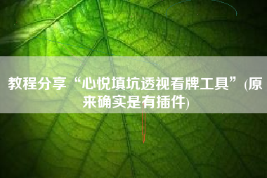 教程分享“心悦填坑透视看牌工具	”(原来确实是有插件)