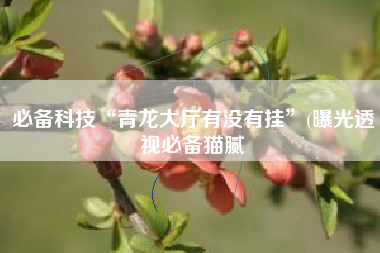 必备科技“青龙大厅有没有挂”(曝光透视必备猫腻
