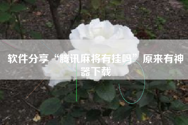 软件分享“腾讯麻将有挂吗”原来有神器下载