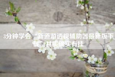 3分钟学会“新道游透视辅助器最新版下载”其实确实有挂