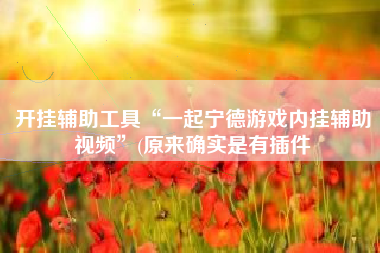 开挂辅助工具“一起宁德游戏内挂辅助视频	”(原来确实是有插件