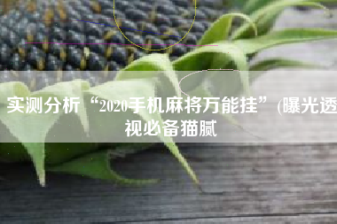 实测分析“2020手机麻将万能挂	”(曝光透视必备猫腻