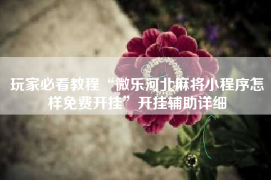 玩家必看教程“微乐河北麻将小程序怎样免费开挂”开挂辅助详细