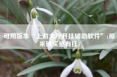 可用版本“上游大厅开挂辅助软件”(原来确实是有挂)