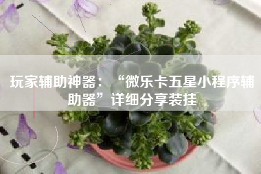 玩家辅助神器：“微乐卡五星小程序辅助器”详细分享装挂