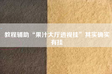 教程辅助“果汁大厅透视挂	”其实确实有挂