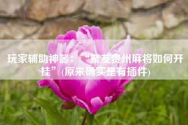 玩家辅助神器：“聚友贵州麻将如何开挂”(原来确实是有插件)