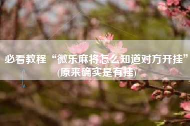 必看教程“微乐麻将怎么知道对方开挂”(原来确实是有挂)