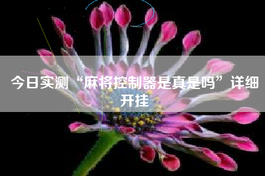 今日实测“麻将控制器是真是吗”详细开挂