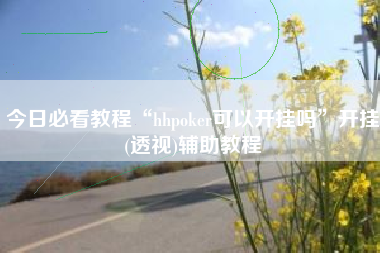 今日必看教程“hhpoker可以开挂吗	”开挂(透视)辅助教程