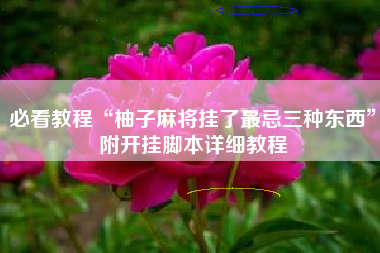 必看教程“柚子麻将挂了最忌三种东西”附开挂脚本详细教程