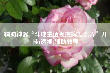 辅助神器“斗地主透视底牌怎么弄”开挂(透视)辅助教程