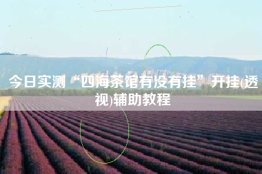 今日实测“四海茶馆有没有挂”开挂(透视)辅助教程