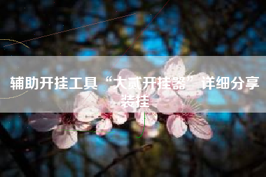 辅助开挂工具“大贰开挂器”详细分享装挂