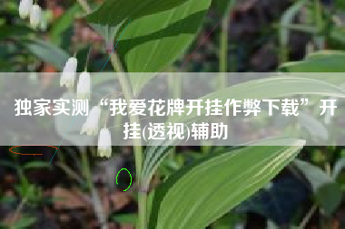 独家实测“我爱花牌开挂作弊下载”开挂(透视)辅助