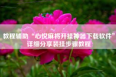 教程辅助“心悦麻将开挂神器下载软件”详细分享装挂步骤教程