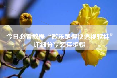 今日必看教程“微乐跑得快透视软件”详细分享装挂步骤