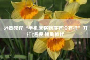 必看教程“手机麻将到底有没有挂”开挂(透视)辅助教程