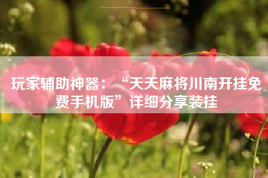玩家辅助神器：“天天麻将川南开挂免费手机版”详细分享装挂