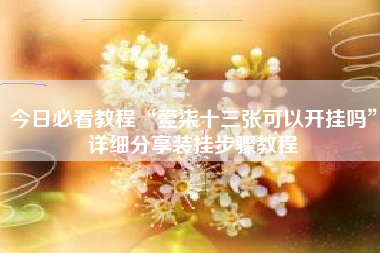 今日必看教程“壹柒十三张可以开挂吗”详细分享装挂步骤教程