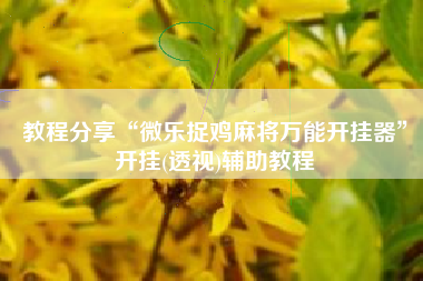 教程分享“微乐捉鸡麻将万能开挂器	”开挂(透视)辅助教程