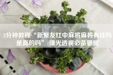 3分钟教程“新聚友红中麻将麻将有挂吗是真的吗	”(曝光透视必备猫腻