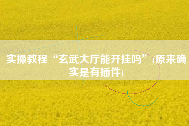 实操教程“玄武大厅能开挂吗”(原来确实是有插件)