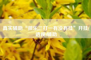 真实辅助“微乐三打一有没有挂	”开挂(透视)辅助