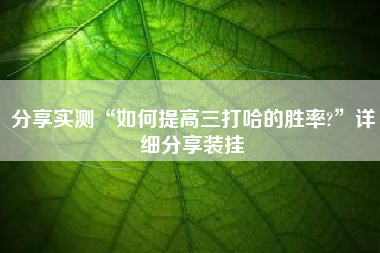 分享实测“如何提高三打哈的胜率?”详细分享装挂
