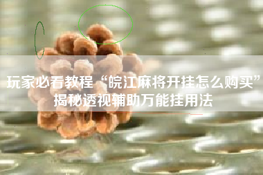 玩家必看教程“皖江麻将开挂怎么购买	”揭秘透视辅助万能挂用法