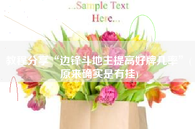 教程分享“边锋斗地主提高好牌几率”(原来确实是有挂)