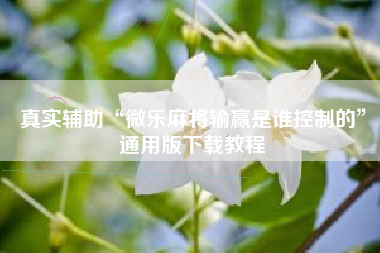 真实辅助“微乐麻将输赢是谁控制的”通用版下载教程