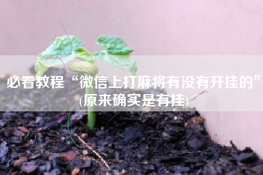 必看教程“微信上打麻将有没有开挂的”(原来确实是有挂)