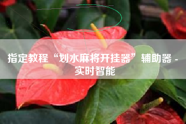 指定教程“划水麻将开挂器”辅助器 - 实时智能