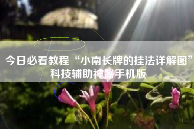 今日必看教程“小南长牌的挂法详解图	”科技辅助神器手机版