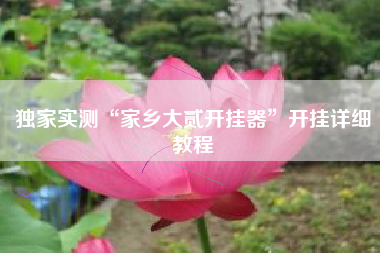 独家实测“家乡大贰开挂器”开挂详细教程