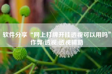 软件分享“网上打牌开挂透视可以用吗	”作弊(透视)透视辅助