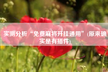 实测分析“免费麻将开挂通用”(原来确实是有插件)