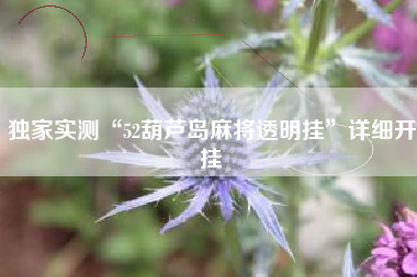 独家实测“52葫芦岛麻将透明挂”详细开挂