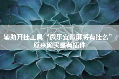 辅助开挂工具“微乐安徽麻将有挂么”(原来确实是有插件)