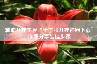 辅助开挂工具“十三张开挂神器下载”详细分享装挂步骤