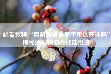 必看教程“百游网络推筒子可以开挂吗	”揭秘透视辅助万能挂用法