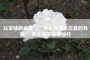 玩家辅助神器：“微乐麻将是否真的有挂”(原来确实是有插件