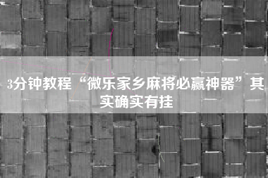 3分钟教程“微乐家乡麻将必赢神器”其实确实有挂