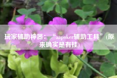 玩家辅助神器：“aapoker辅助工具”(原来确实是有挂)