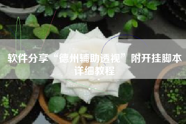 软件分享“德州辅助透视”附开挂脚本详细教程