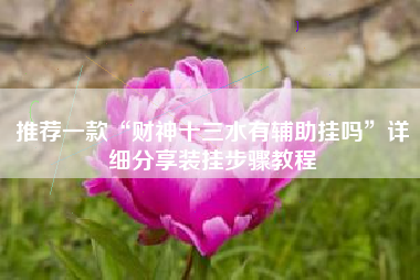 推荐一款“财神十三水有辅助挂吗”详细分享装挂步骤教程