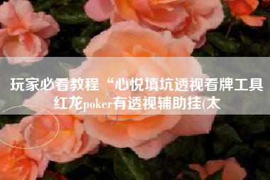 玩家必看教程“心悦填坑透视看牌工具红龙poker有透视辅助挂(太